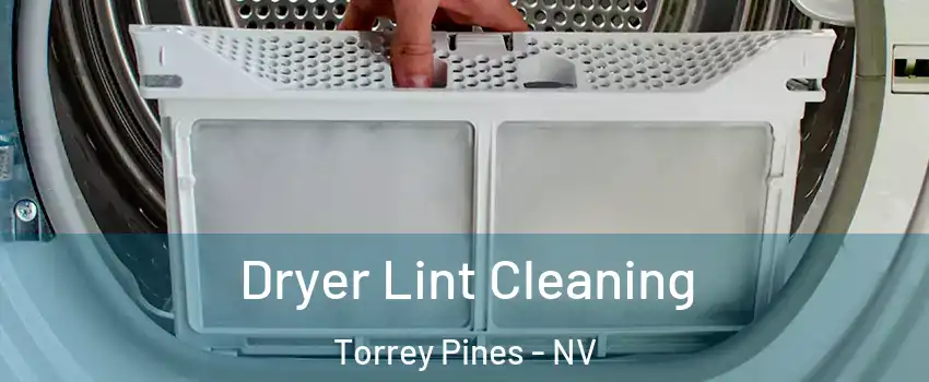 Dryer Lint Cleaning Torrey Pines - NV