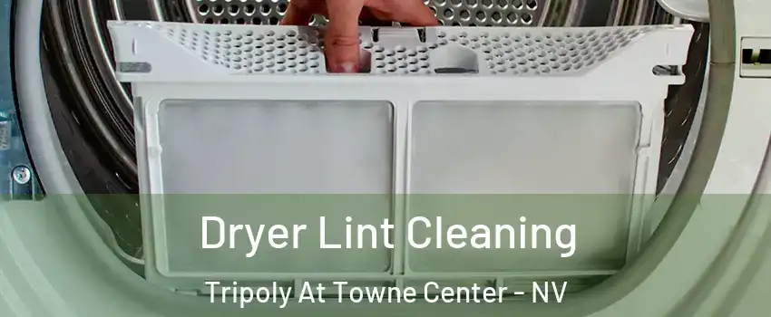 Dryer Lint Cleaning Tripoly At Towne Center - NV