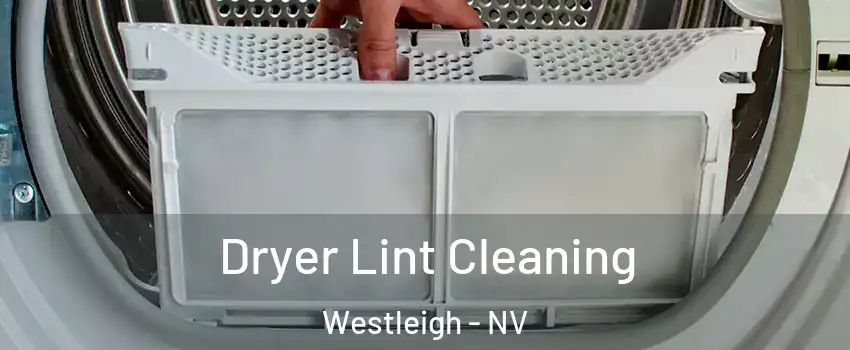 Dryer Lint Cleaning Westleigh - NV