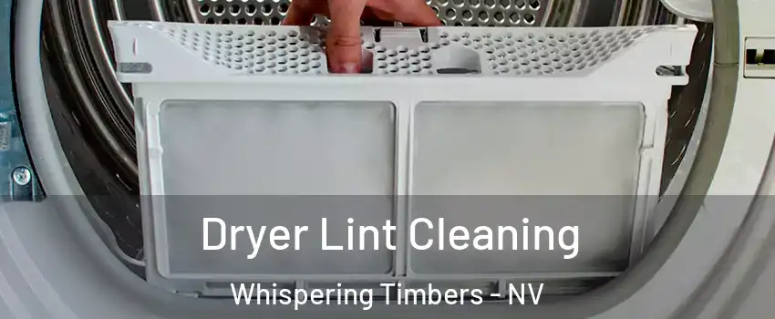 Dryer Lint Cleaning Whispering Timbers - NV