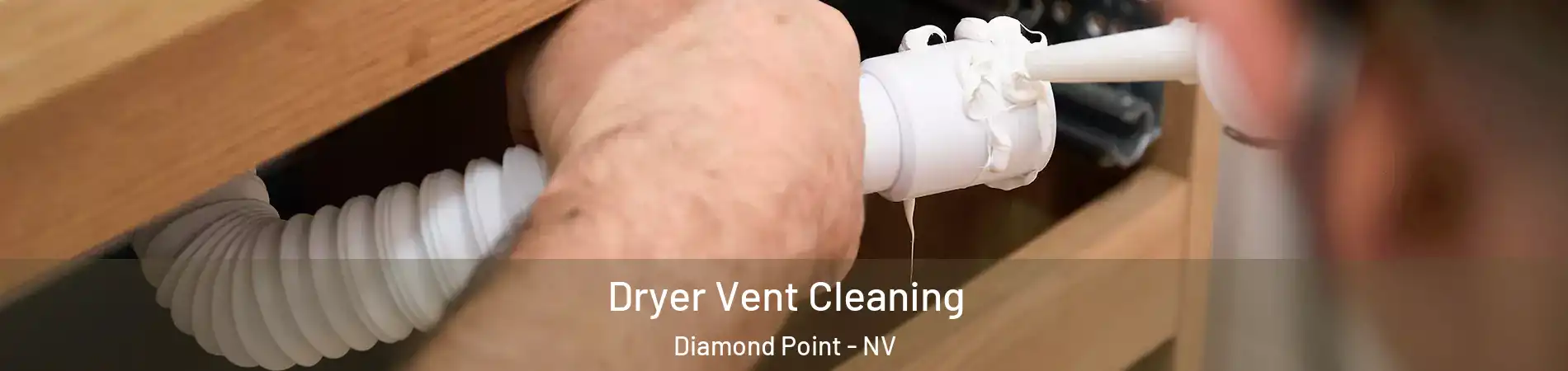 Dryer Vent Cleaning Diamond Point - NV