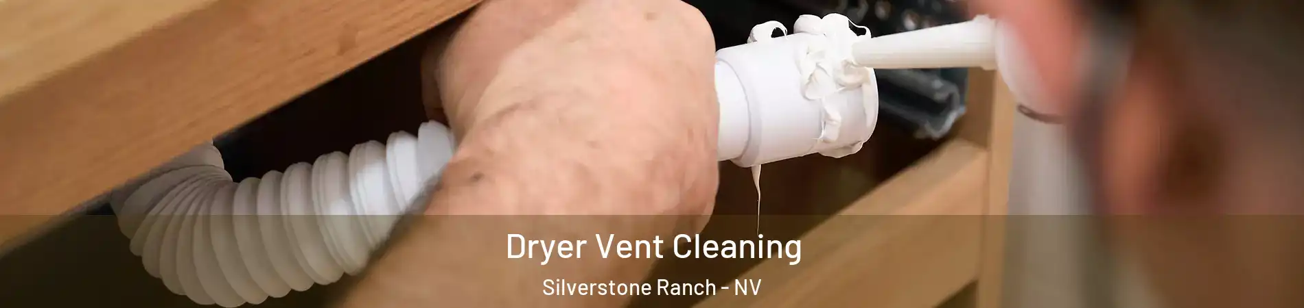Dryer Vent Cleaning Silverstone Ranch - NV