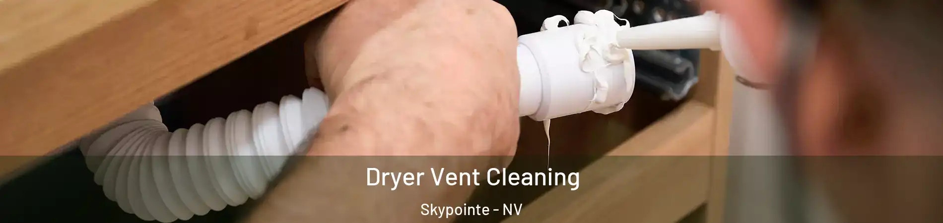 Dryer Vent Cleaning Skypointe - NV