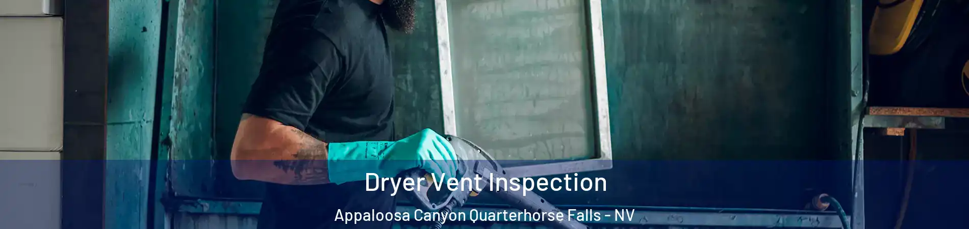 Dryer Vent Inspection Appaloosa Canyon Quarterhorse Falls - NV