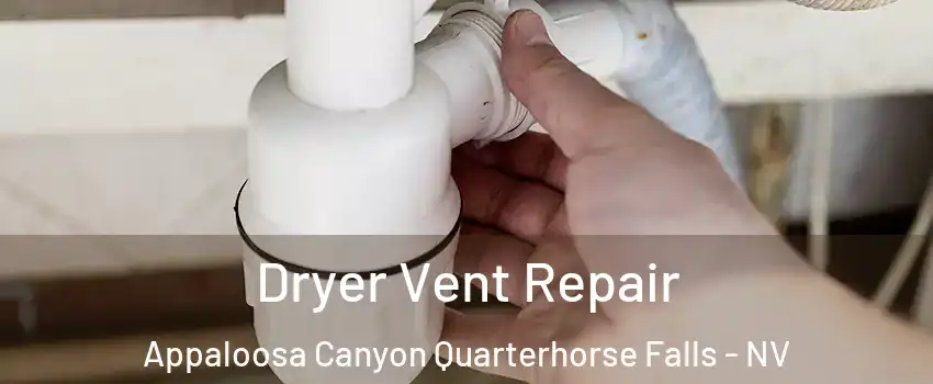 Dryer Vent Repair Appaloosa Canyon Quarterhorse Falls - NV