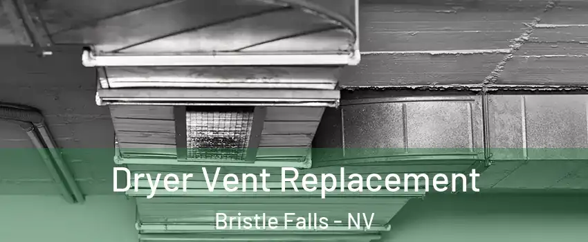 Dryer Vent Replacement Bristle Falls - NV