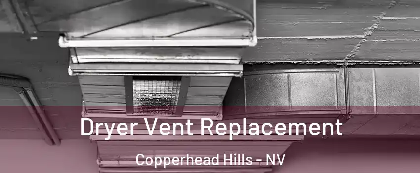 Dryer Vent Replacement Copperhead Hills - NV