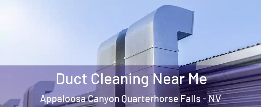 Duct Cleaning Near Me Appaloosa Canyon Quarterhorse Falls - NV