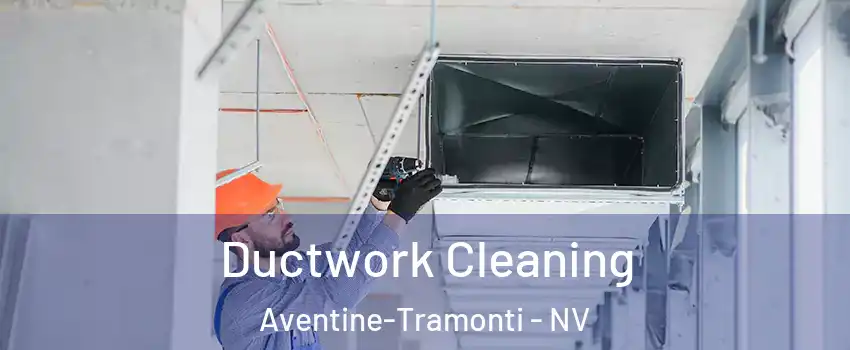 Ductwork Cleaning Aventine-Tramonti - NV