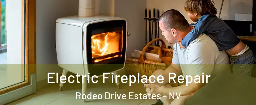 Electric Fireplace Repair Rodeo Drive Estates - NV