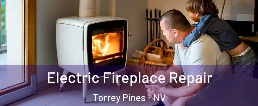 Electric Fireplace Repair Torrey Pines - NV