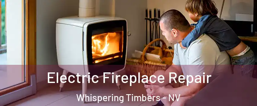 Electric Fireplace Repair Whispering Timbers - NV