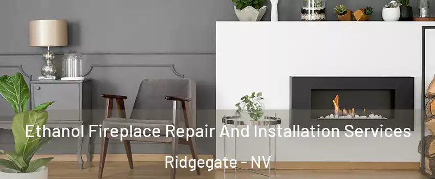 Ethanol Fireplace Repair And Installation Services Ridgegate - NV