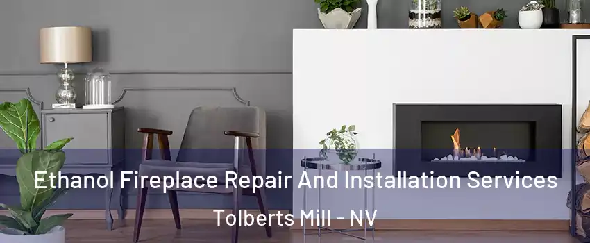 Ethanol Fireplace Repair And Installation Services Tolberts Mill - NV