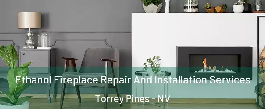 Ethanol Fireplace Repair And Installation Services Torrey Pines - NV