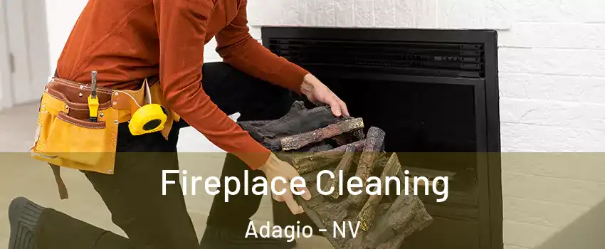 Fireplace Cleaning Adagio - NV
