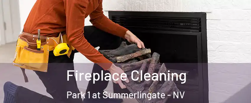 Fireplace Cleaning Park 1 at Summerlingate - NV