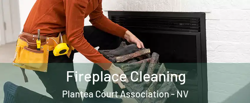 Fireplace Cleaning Plantea Court Association - NV
