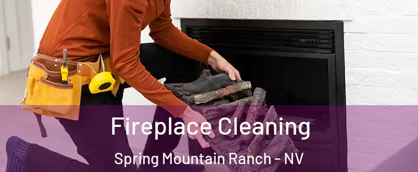 Fireplace Cleaning Spring Mountain Ranch - NV