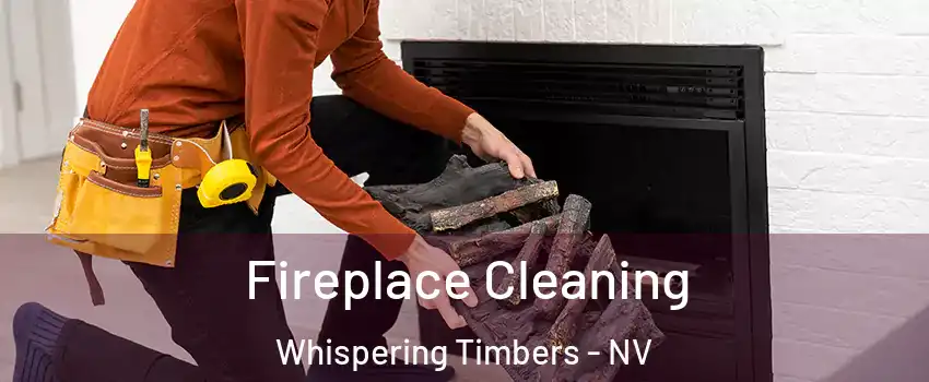 Fireplace Cleaning Whispering Timbers - NV