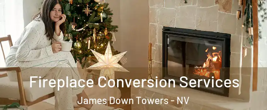 Fireplace Conversion Services James Down Towers - NV