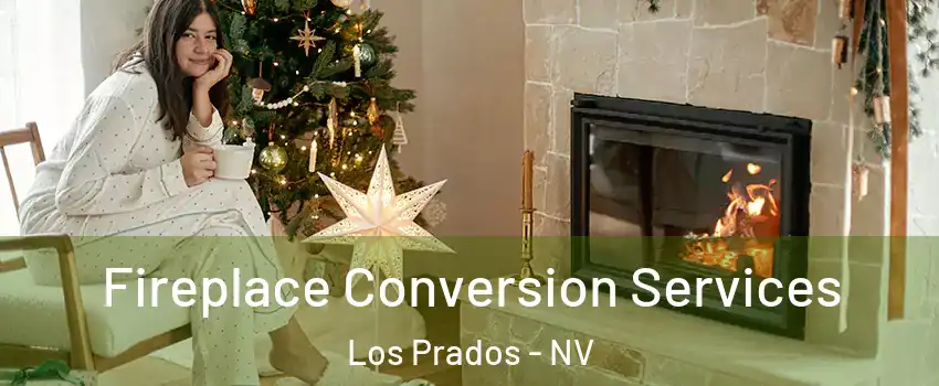 Fireplace Conversion Services Los Prados - NV