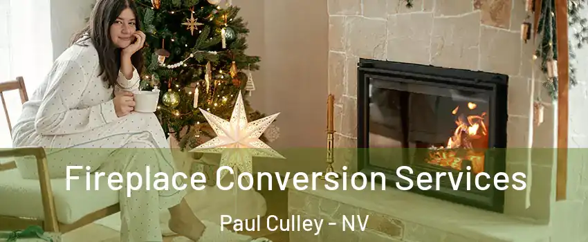 Fireplace Conversion Services Paul Culley - NV