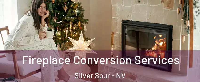 Fireplace Conversion Services Silver Spur - NV