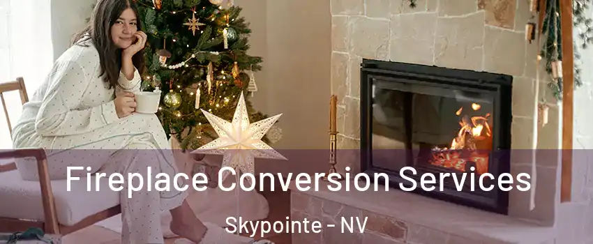 Fireplace Conversion Services Skypointe - NV