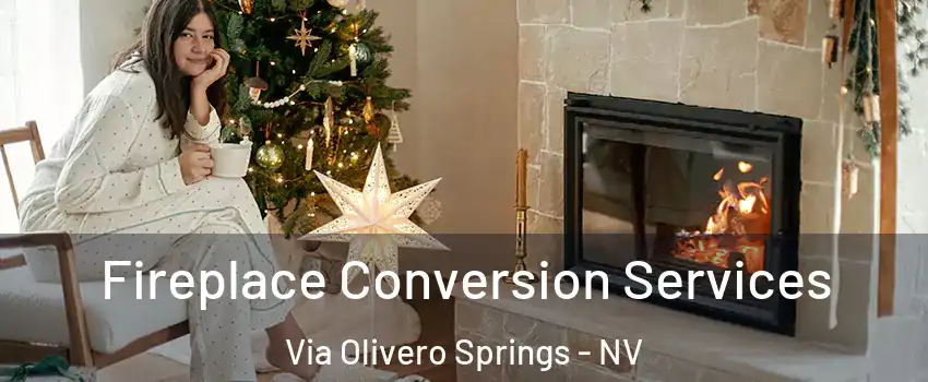 Fireplace Conversion Services Via Olivero Springs - NV