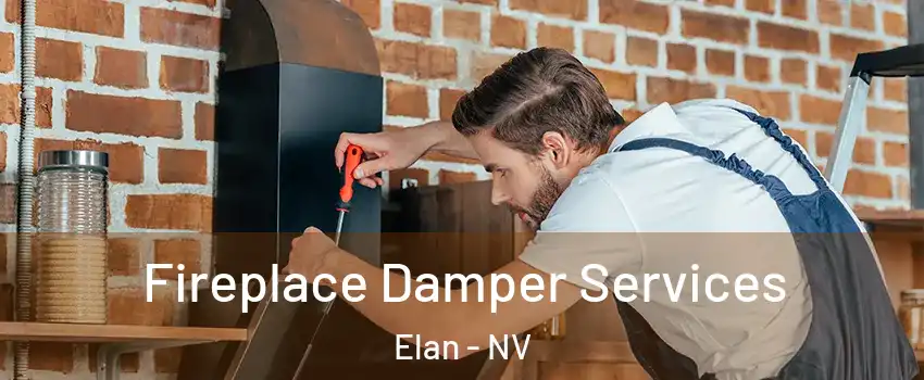 Fireplace Damper Services Elan - NV