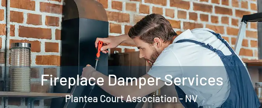 Fireplace Damper Services Plantea Court Association - NV