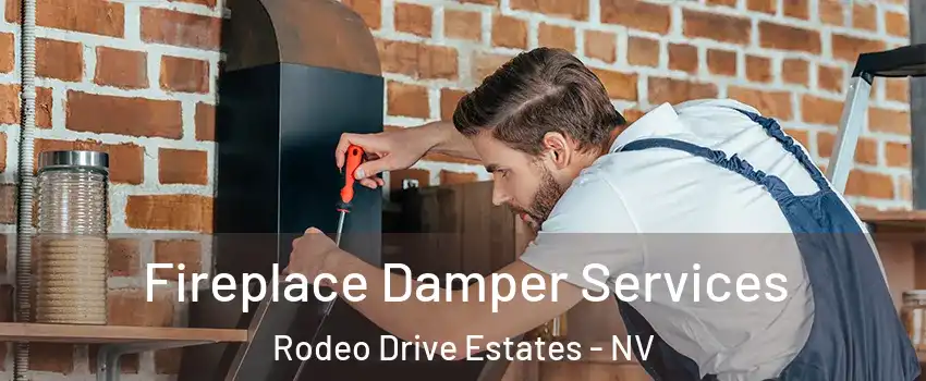 Fireplace Damper Services Rodeo Drive Estates - NV