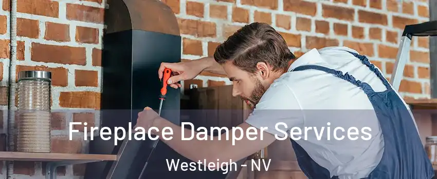 Fireplace Damper Services Westleigh - NV
