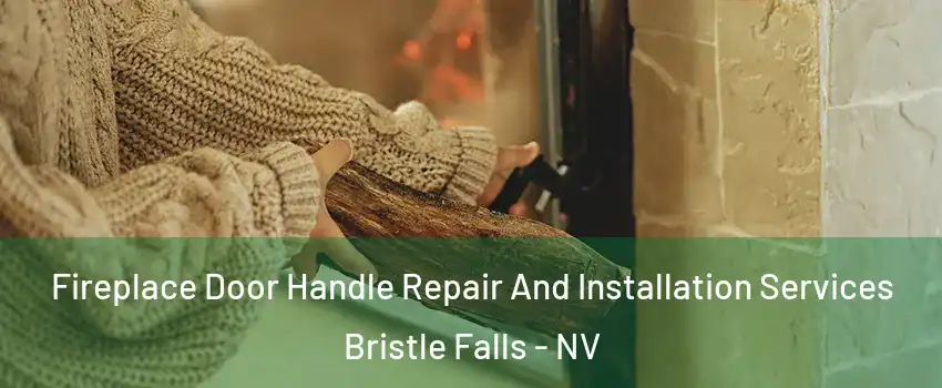 Fireplace Door Handle Repair And Installation Services Bristle Falls - NV