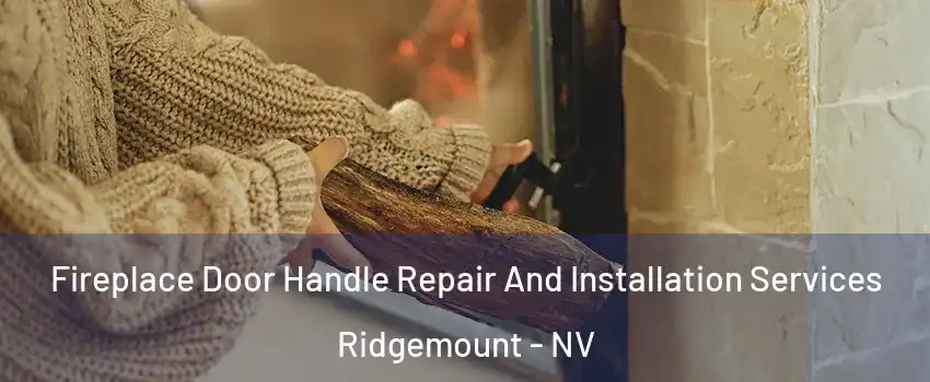 Fireplace Door Handle Repair And Installation Services Ridgemount - NV