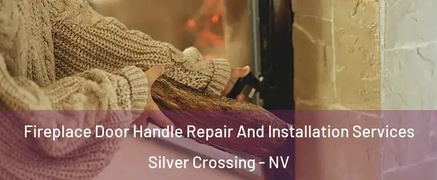 Fireplace Door Handle Repair And Installation Services Silver Crossing - NV