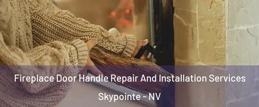 Fireplace Door Handle Repair And Installation Services Skypointe - NV