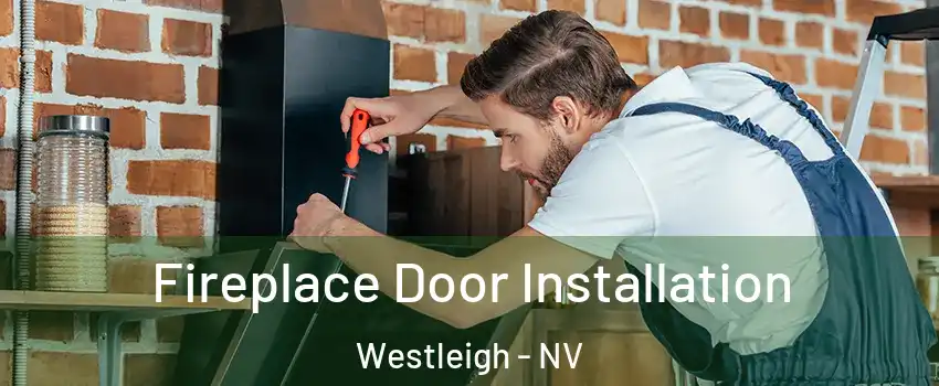 Fireplace Door Installation Westleigh - NV