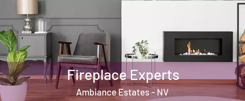 Fireplace Experts Ambiance Estates - NV