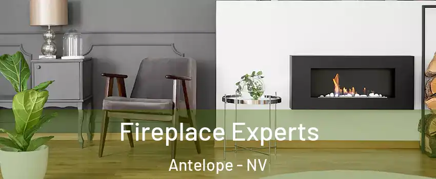 Fireplace Experts Antelope - NV