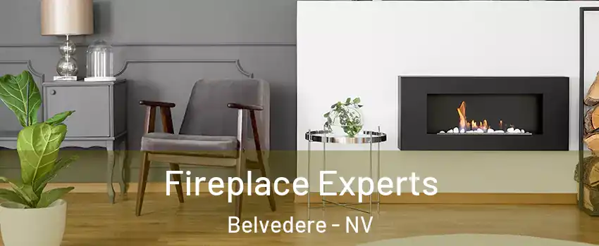 Fireplace Experts Belvedere - NV