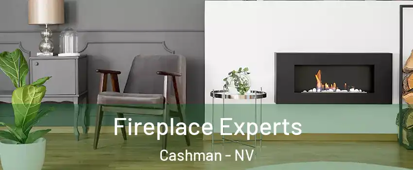 Fireplace Experts Cashman - NV