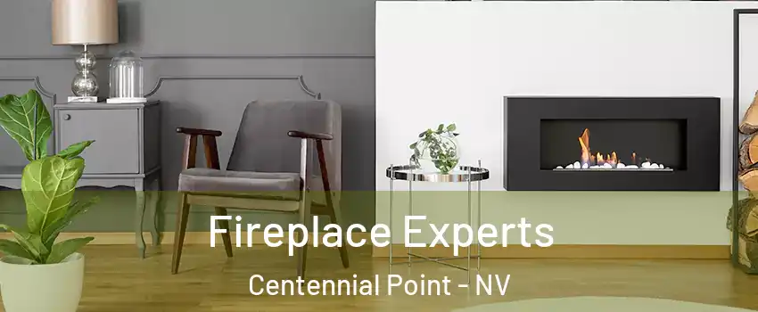 Fireplace Experts Centennial Point - NV