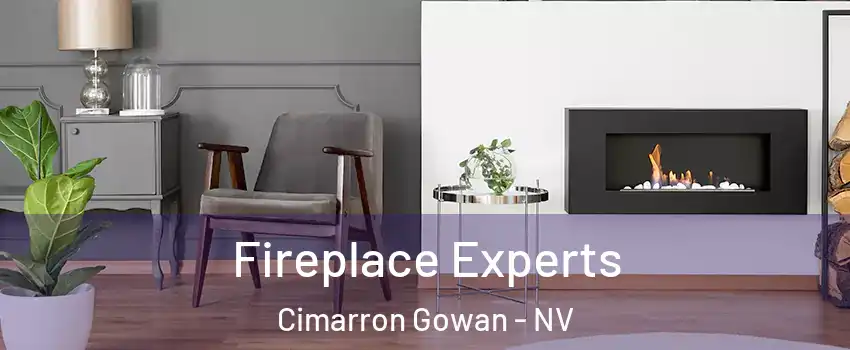 Fireplace Experts Cimarron Gowan - NV