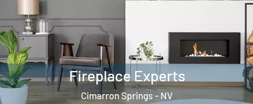 Fireplace Experts Cimarron Springs - NV