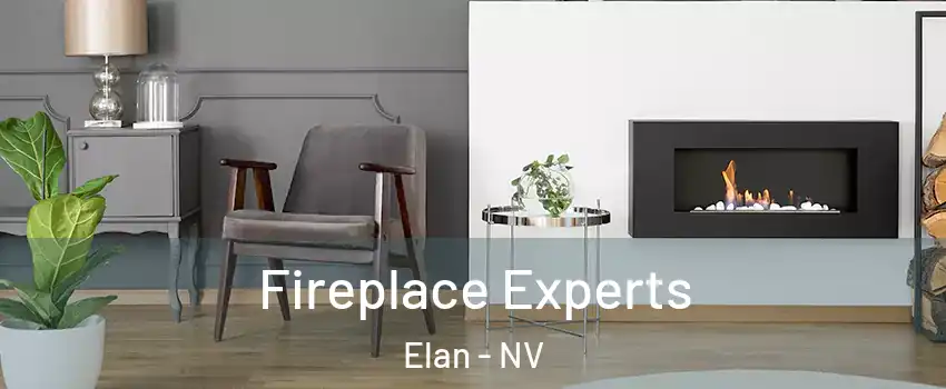 Fireplace Experts Elan - NV