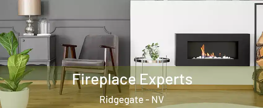 Fireplace Experts Ridgegate - NV