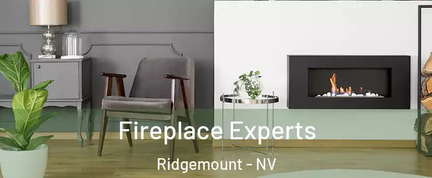 Fireplace Experts Ridgemount - NV