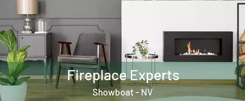 Fireplace Experts Showboat - NV